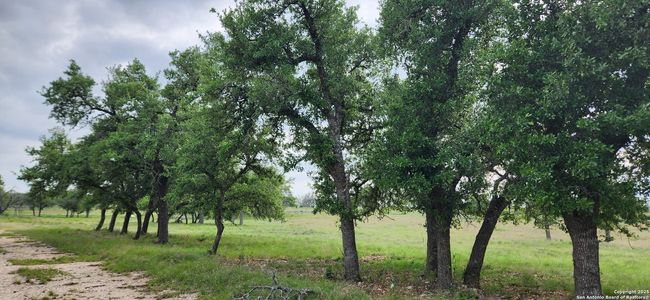 153 Fallow Dr, Home with 0 bedrooms, 0 bathrooms and null parking in Harper TX | Image 6
