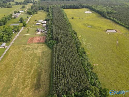 18.5 ACRES County Road 381, Hillsboro, AL, 35643 | Card Image
