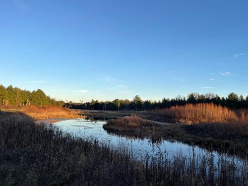 33 Acres 10th Avenue, Easton, WI, 53910 | Card Image