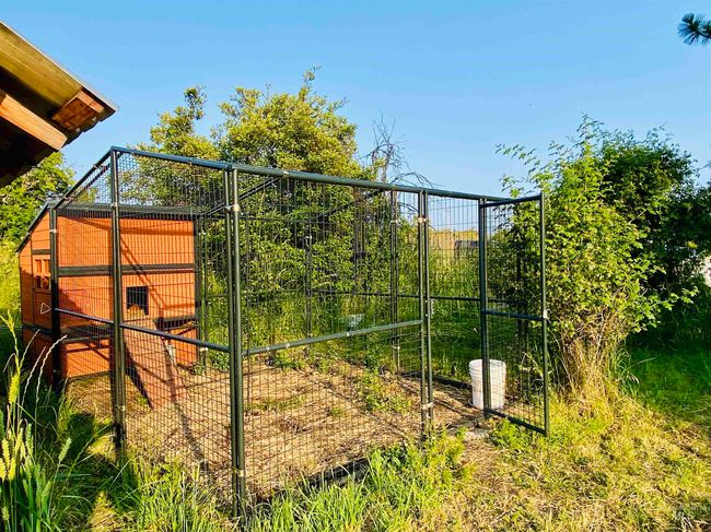 View of yard with exterior structure and an outdoor structure | Image 37