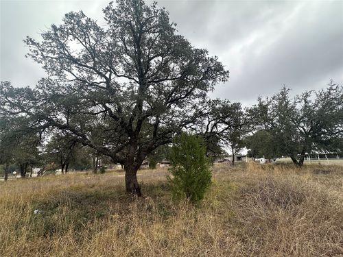 00 Lynch Bend Rd, Springtown, TX, 76082 | Card Image