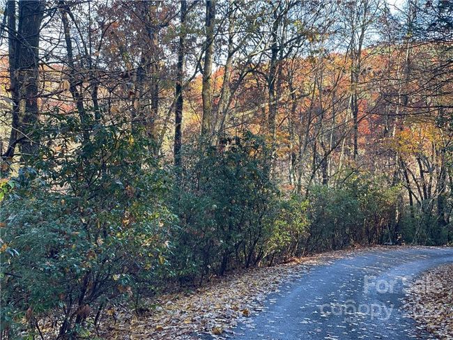 4 - 9999 Sassafras Ln, Home with 0 bedrooms, 0 bathrooms and null parking in Cedar Mountain NC | Image 27