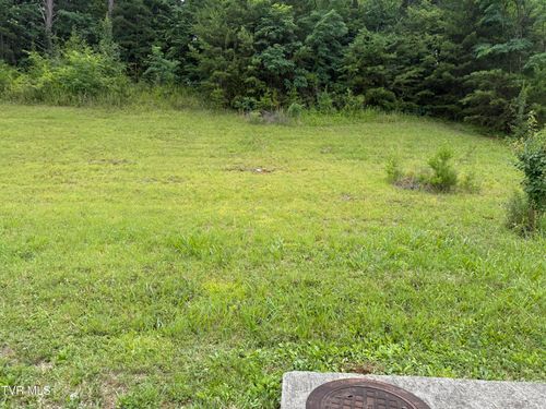 142 Brighton Pl, Bristol, TN, 37620-5328 | Card Image