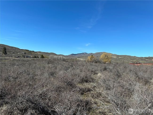 81 W Chewuch Rd, Home with 0 bedrooms, 0 bathrooms and null parking in Winthrop WA | Image 11
