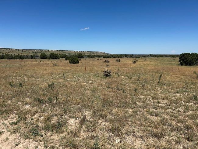 Lot 17 Longhorn Rd, Home with 0 bedrooms, 0 bathrooms and null parking in Model CO | Image 9