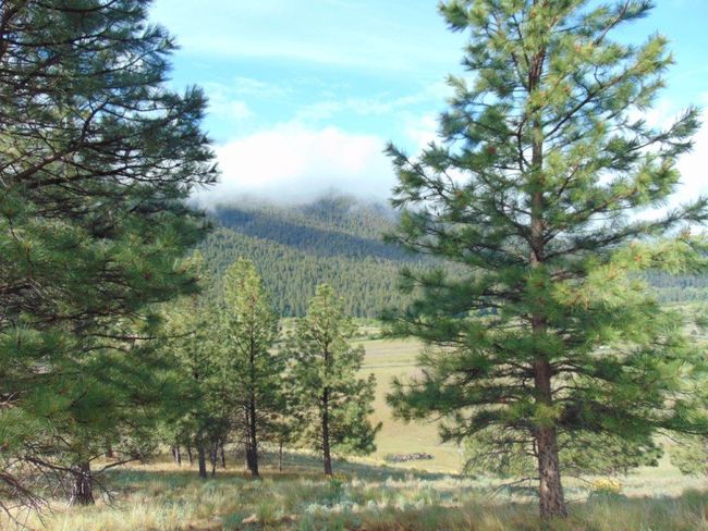 27235 Lazy Springs Rd, Home with 0 bedrooms, 0 bathrooms and null parking in Clinton MT | Image 38