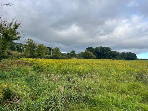 Lt 6 W 4th St, Westfield, WI, 53964 | Card Image