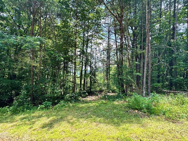 Lot 73 Mountain View Rd, Home with 0 bedrooms, 0 bathrooms and null parking in Ellijay GA | Image 15