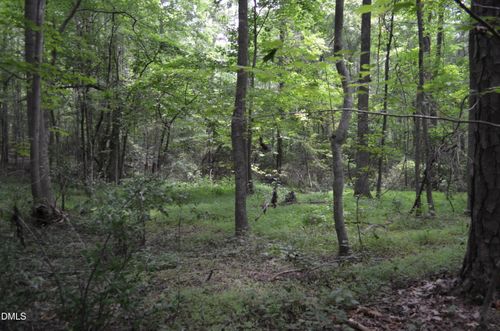0 Dyson Drive, Mebane, NC, 27302 | Card Image