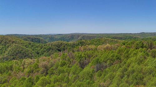 0 Bent School Rd, Meadows of Dan, VA, 24120 | Card Image