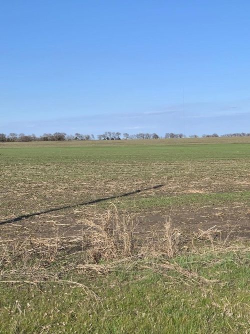 TBD Airport Rd, Tioga, TX, 76271 | Card Image