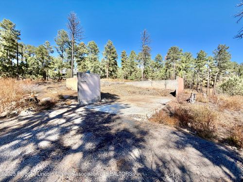 111 Pine Cone Ln, Alto, NM, 88312-9613 | Card Image