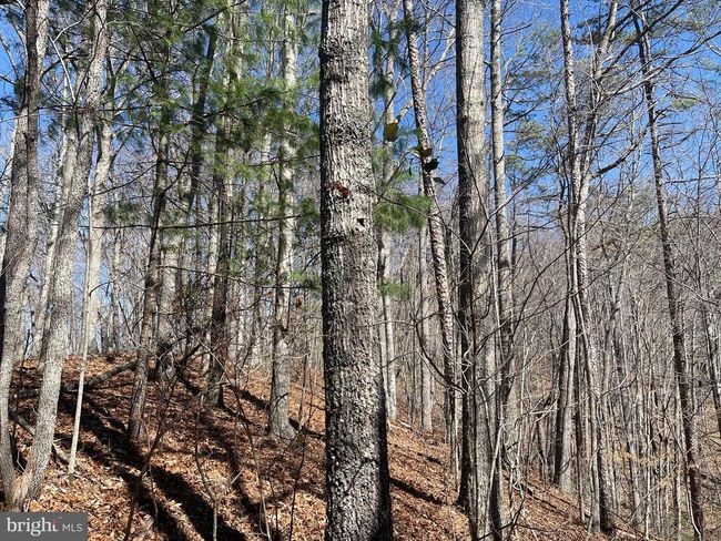 0 Bear Cove Rd, Home with 0 bedrooms, 0 bathrooms and null parking in Bryson City NC | Image 9