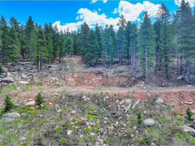 11275 Bear Run Trl, Home with 0 bedrooms, 0 bathrooms and null parking in Conifer CO | Image 13