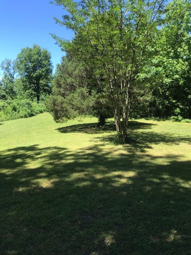 1397 N Springs Rd, House other with 3 bedrooms, 2 bathrooms and 2 parking in Red Boiling Springs TN | Image 4