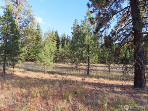 0 Toroda Creek Road, Curlew, WA, 99118 | Card Image