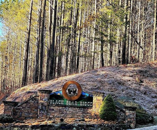 37 Black Bear Ridge Rd, Ellijay, GA, 30536 | Card Image