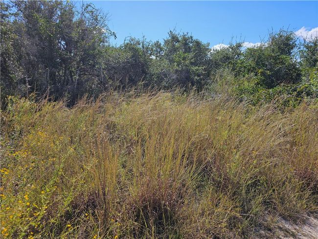 1342 Mack Rd, Home with 0 bedrooms, 0 bathrooms and null parking in Aransas Pass TX | Image 4