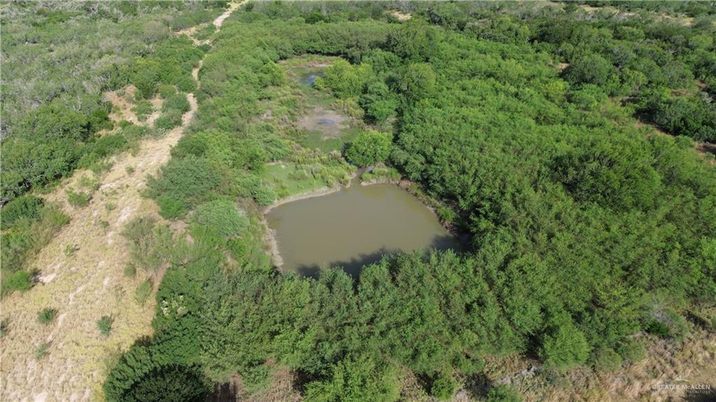 Land in Zapata 3