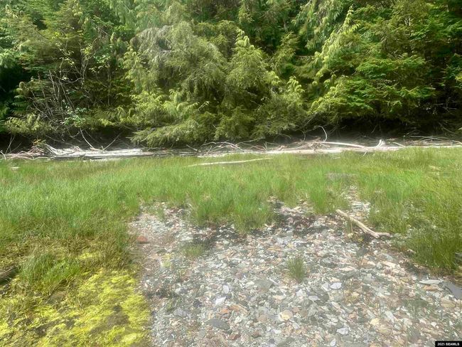 LOT-2-BLOCK-1 - NHN Legal Address Only, Home with 0 bedrooms, 0 bathrooms and null parking in Ketchikan AK | Image 19