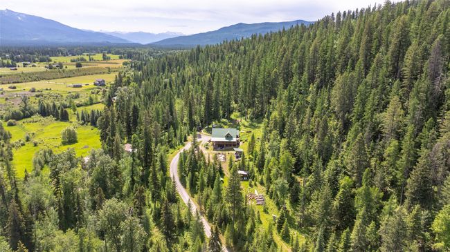 Drone / aerial view of a mountain backdrop and a forest | Image 78