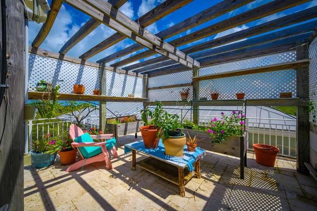 Roof Top Garden | Image 34