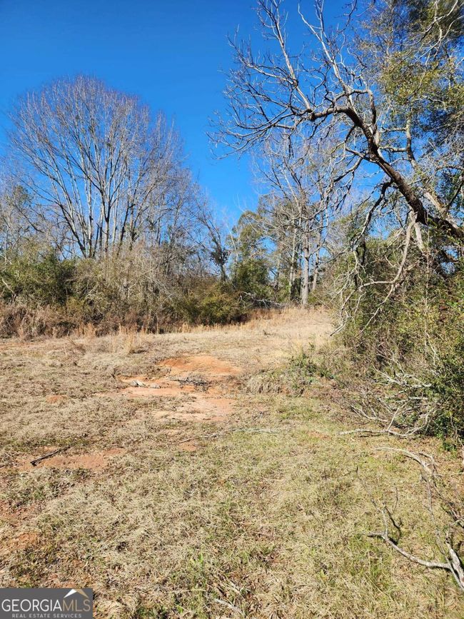 9474 Broad St, Home with 0 bedrooms, 0 bathrooms and null parking in Avera GA | Image 6