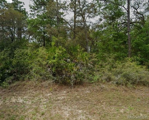8846 N Gilovu Dr, Citrus Springs, FL, 34433-4355 | Card Image