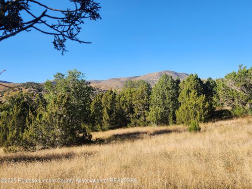 102 Agua Fria Dr, Ruidoso Downs, NM, 88346-9708 | Card Image