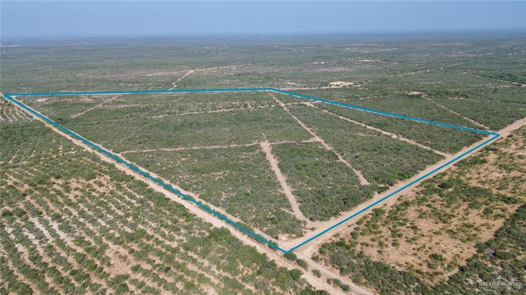 Land in Zapata 2