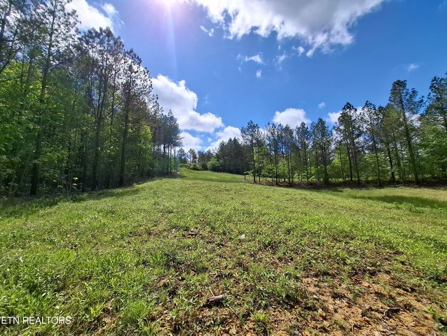 38 Stonecipher Ct, Home with 0 bedrooms, 0 bathrooms and null parking in Sunbright TN | Image 15