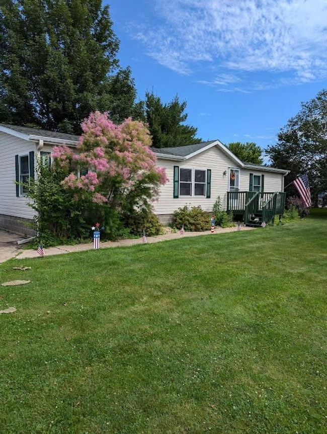 blooming bush in front | Image 30