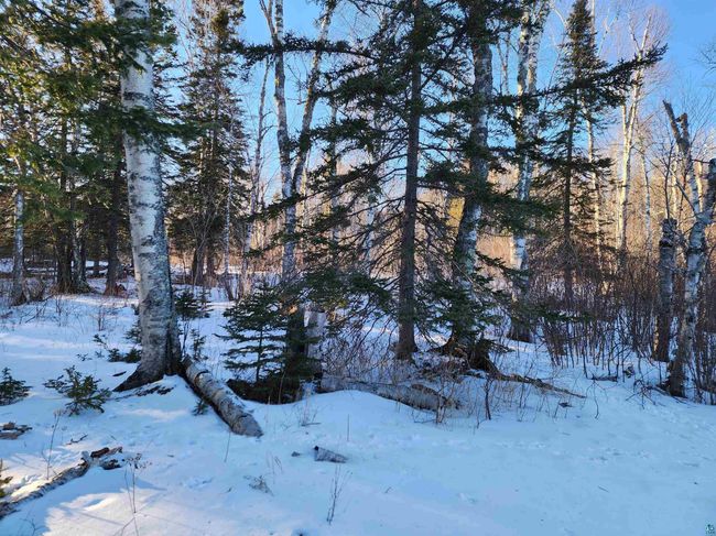 XX-2 Hoaglund Dr, Home with 0 bedrooms, 0 bathrooms and null parking in Tofte MN | Image 10