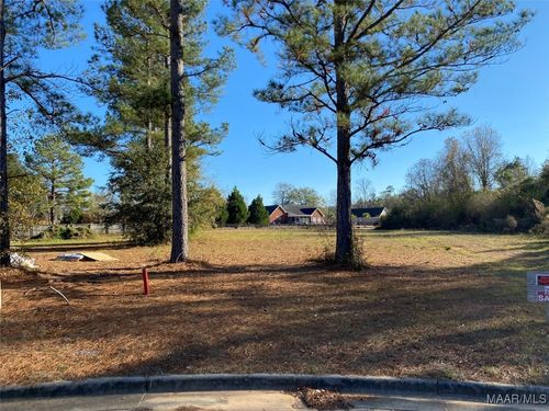 117 Mad River Ln, Dothan, AL, 36301-8475 | Card Image