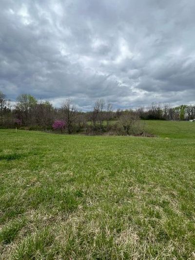 2754 Calvary Ridge Road, Home with 0 bedrooms, 0 bathrooms and null parking in Yosemite KY | Image 1