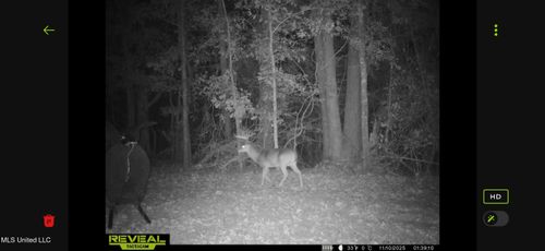 0 Morton Rankin County Line Rd, Morton, MS, 39117 | Card Image