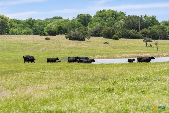 16160 Siler Rd, Home with 0 bedrooms, 1 bathrooms and null parking in Moody TX | Image 15