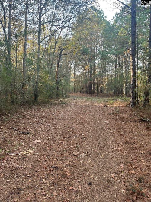 DSH 4 Wagener Road, Wagener, SC, 29164 | Card Image