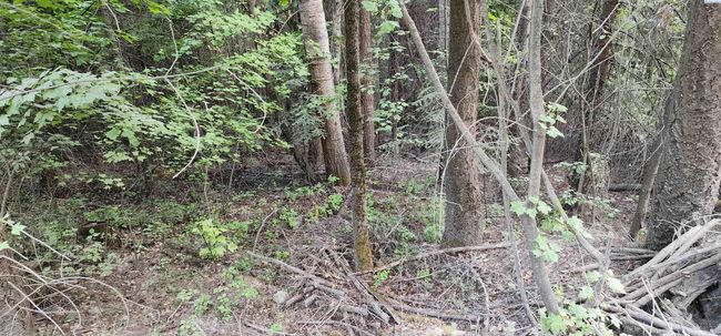 1555 Comstock Mine Rd, Home with 0 bedrooms, 0 bathrooms and null parking in Colville WA | Image 18