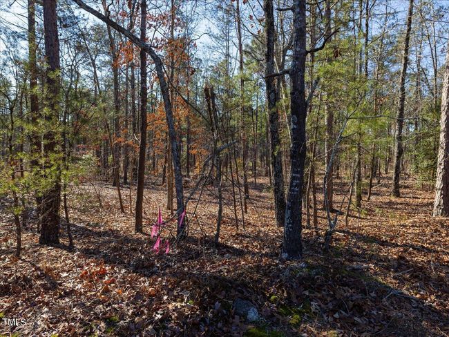 15-015-Tract1-RobedoRd-MontgomeryCounty- | Image 9