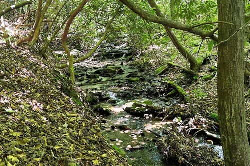 LOT 8 Moore Acres, Hayesville, NC, 28904 | Card Image