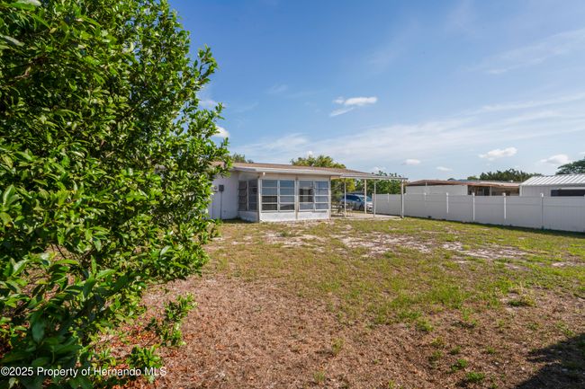 Backyard | Image 26