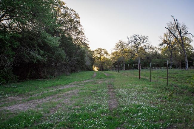 View of yard | Image 9