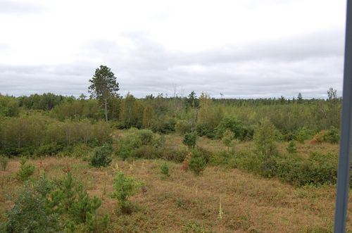 TBD Darsnek Rd, Emily, MN, 56447 | Card Image