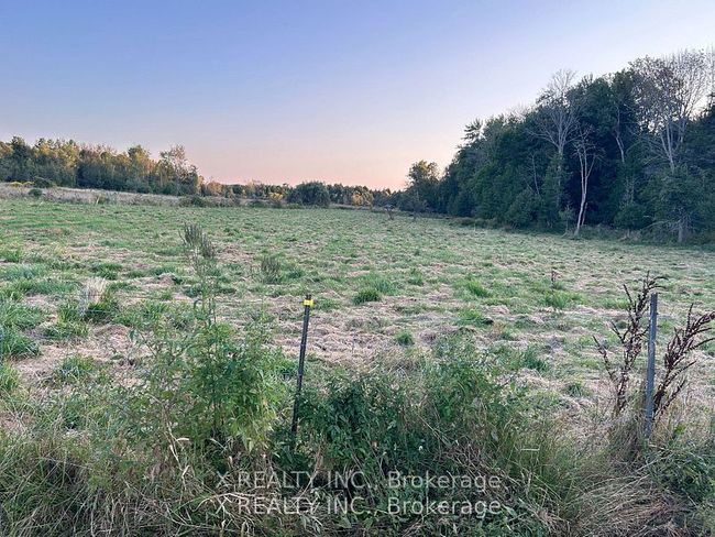 154 Brimley Rd S, House other with 3 bedrooms, 2 bathrooms and 4 parking in Grafton ON | Image 40