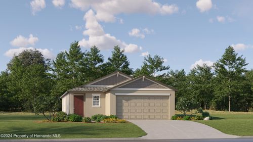 17662 Happytrails Street, Land O' Lakes, FL, 34638 | Card Image