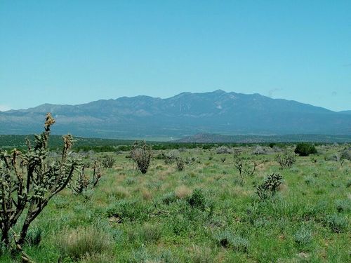 1008 Chupadero Rd, Mountainair, NM, 87036 | Card Image