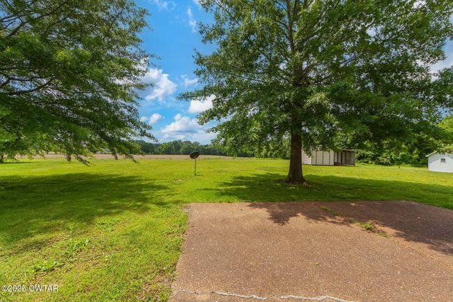 Back yard from the patio | Image 22