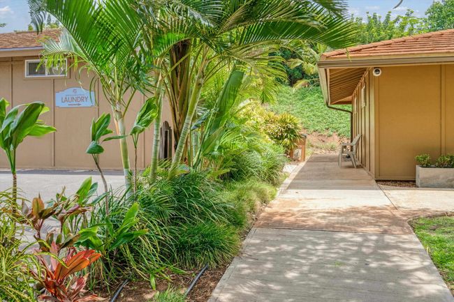 302 - 45 Kai Ala Dr, Condo with 1 bedrooms, 1 bathrooms and null parking in Lahaina HI | Image 43