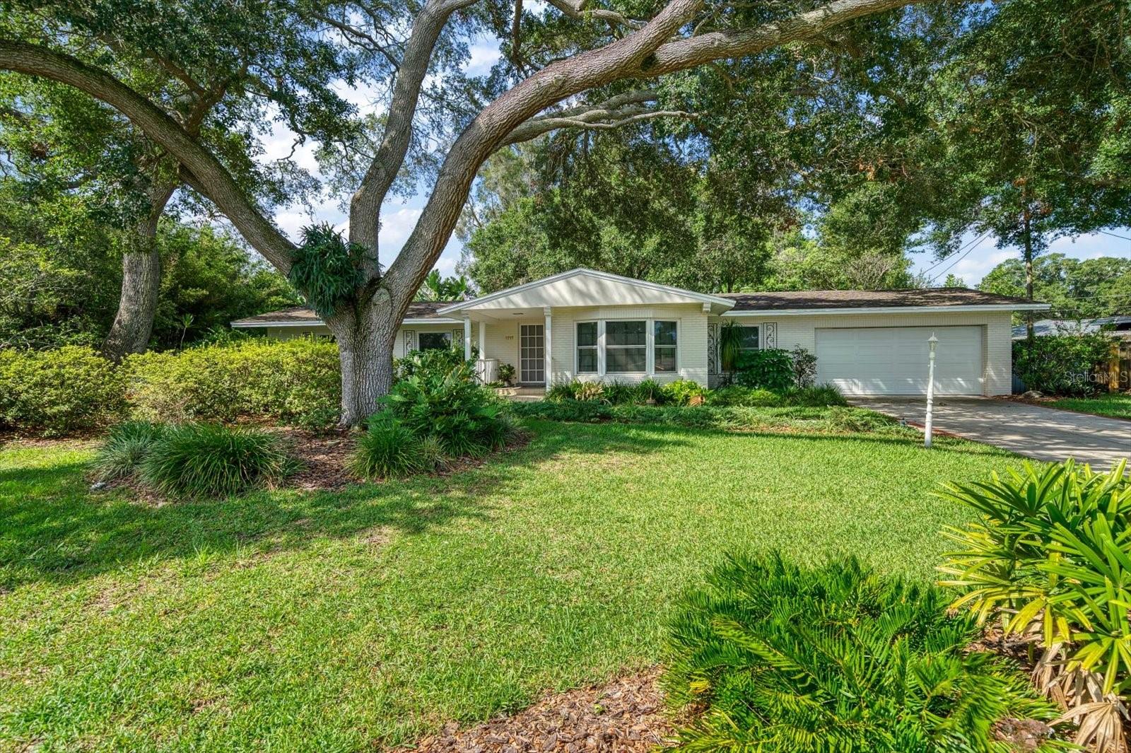 1717 Winfield Road S Sold in CLEARWATER - W3ZIQQn3Q2w49CEYztK45A355lcZIyZxGW56tmiV4hsMeBpwi82JHSjQhgieY9zH6xUXChcPlq7iUnsr17DbAa3xoRx